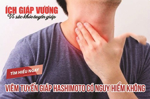 Viêm tuyến giáp Hashimoto có nguy hiểm không? Sử dụng THẢO DƯỢC cải thiện bệnh hiệu quả, bền vững!